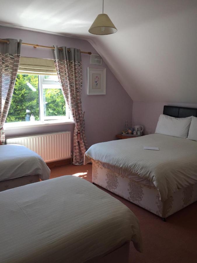 Padua Guest Accommodation Rosslare Rosslare Harbour エクステリア 写真