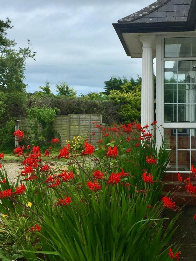 Padua Guest Accommodation Rosslare Rosslare Harbour エクステリア 写真