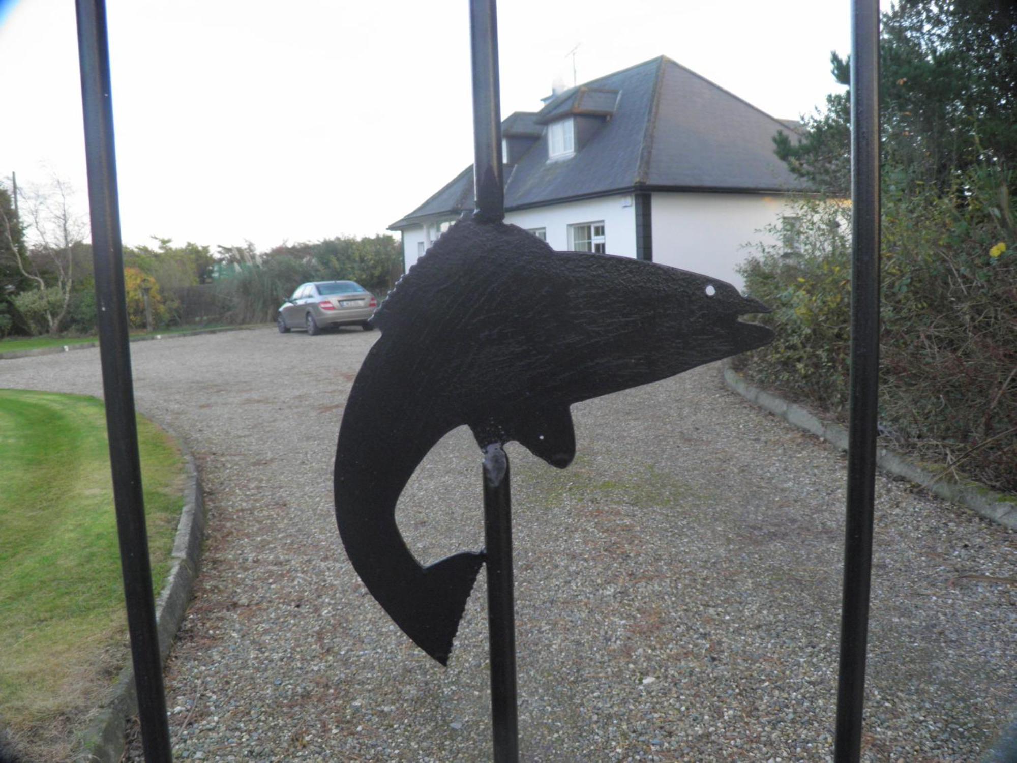 Padua Guest Accommodation Rosslare Rosslare Harbour エクステリア 写真