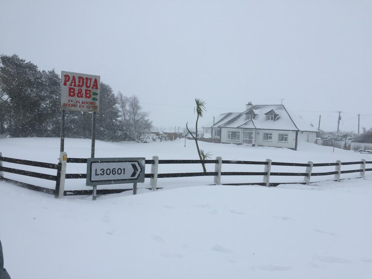 Padua Guest Accommodation Rosslare Rosslare Harbour エクステリア 写真